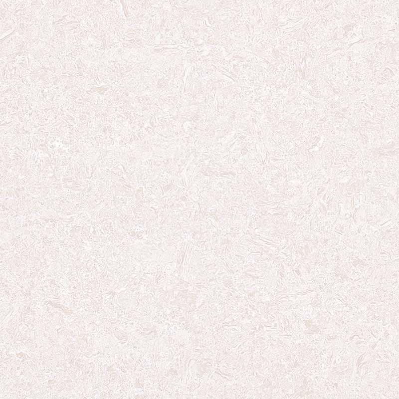 FJFL8236+A（FJFL6236+A）白色郁金香