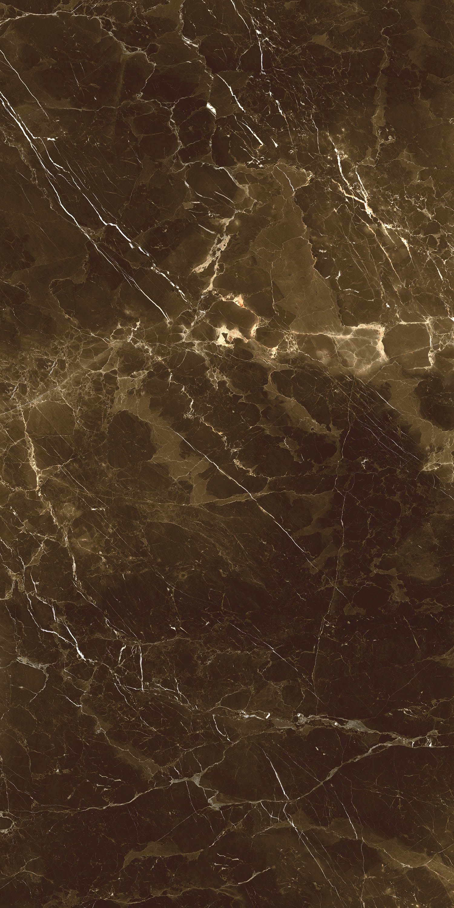 FYC122407金絲琥珀