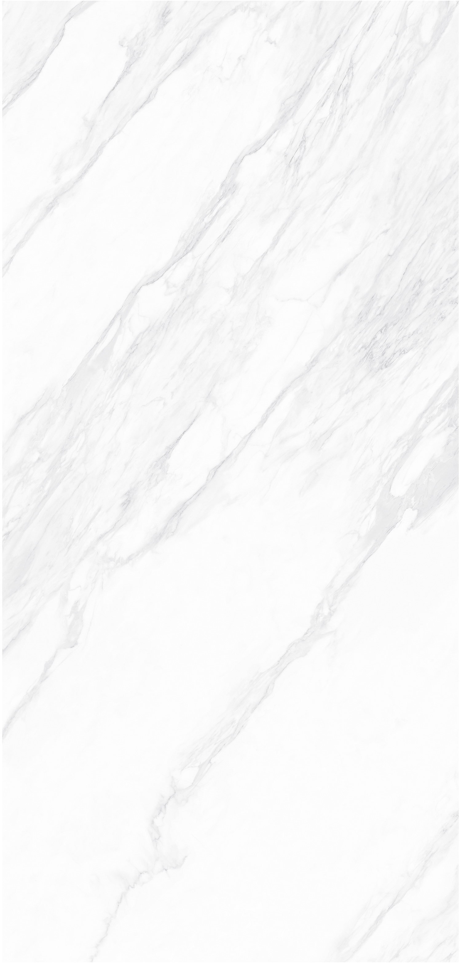 FYB122411 伊麗莎白