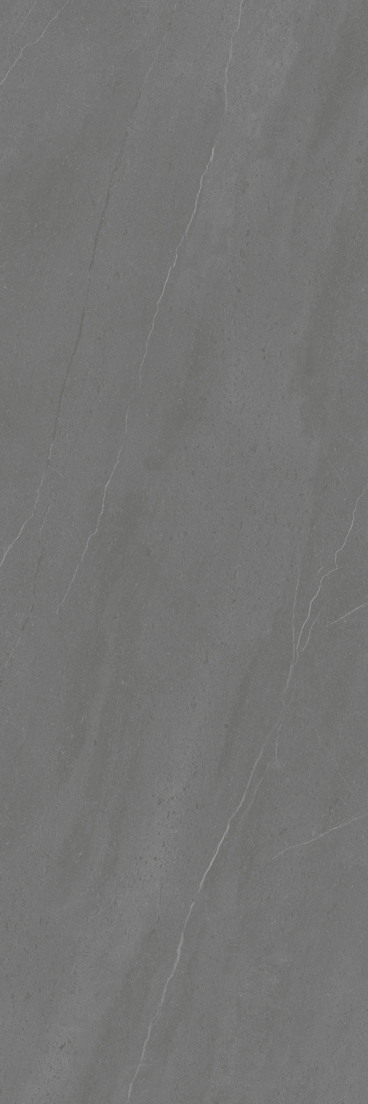 FTB135020 摩登凱撒中灰