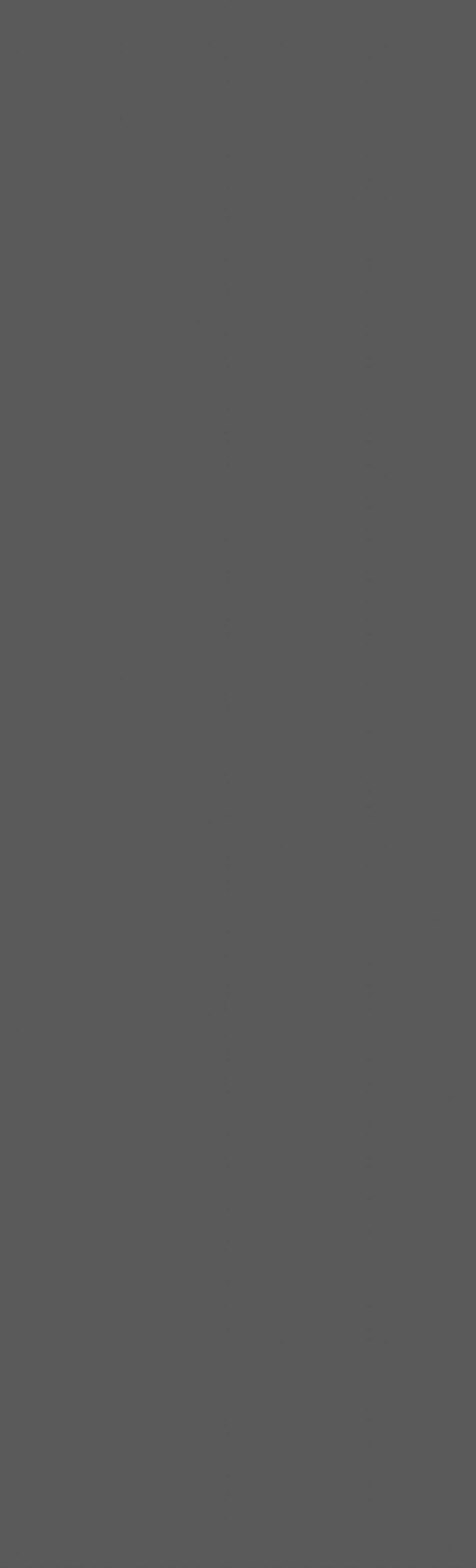 FYC802625-S 夜霧深灰