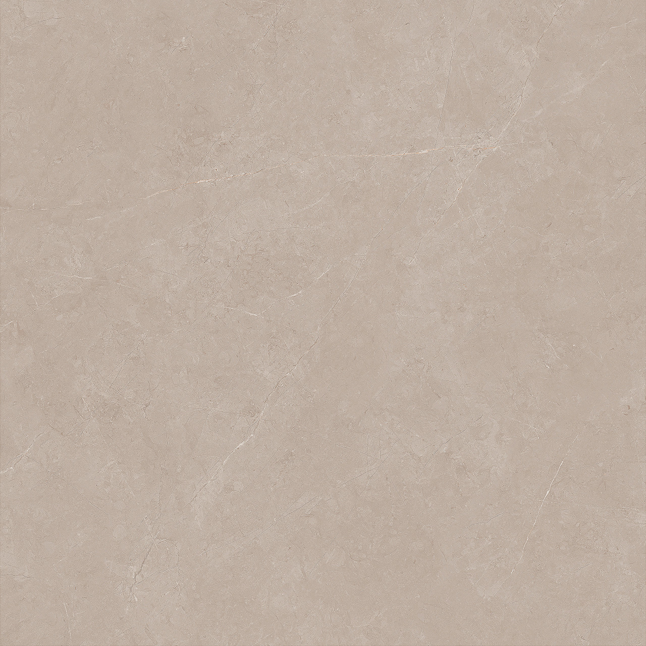 FTDB808603-W 深卡布琪諾