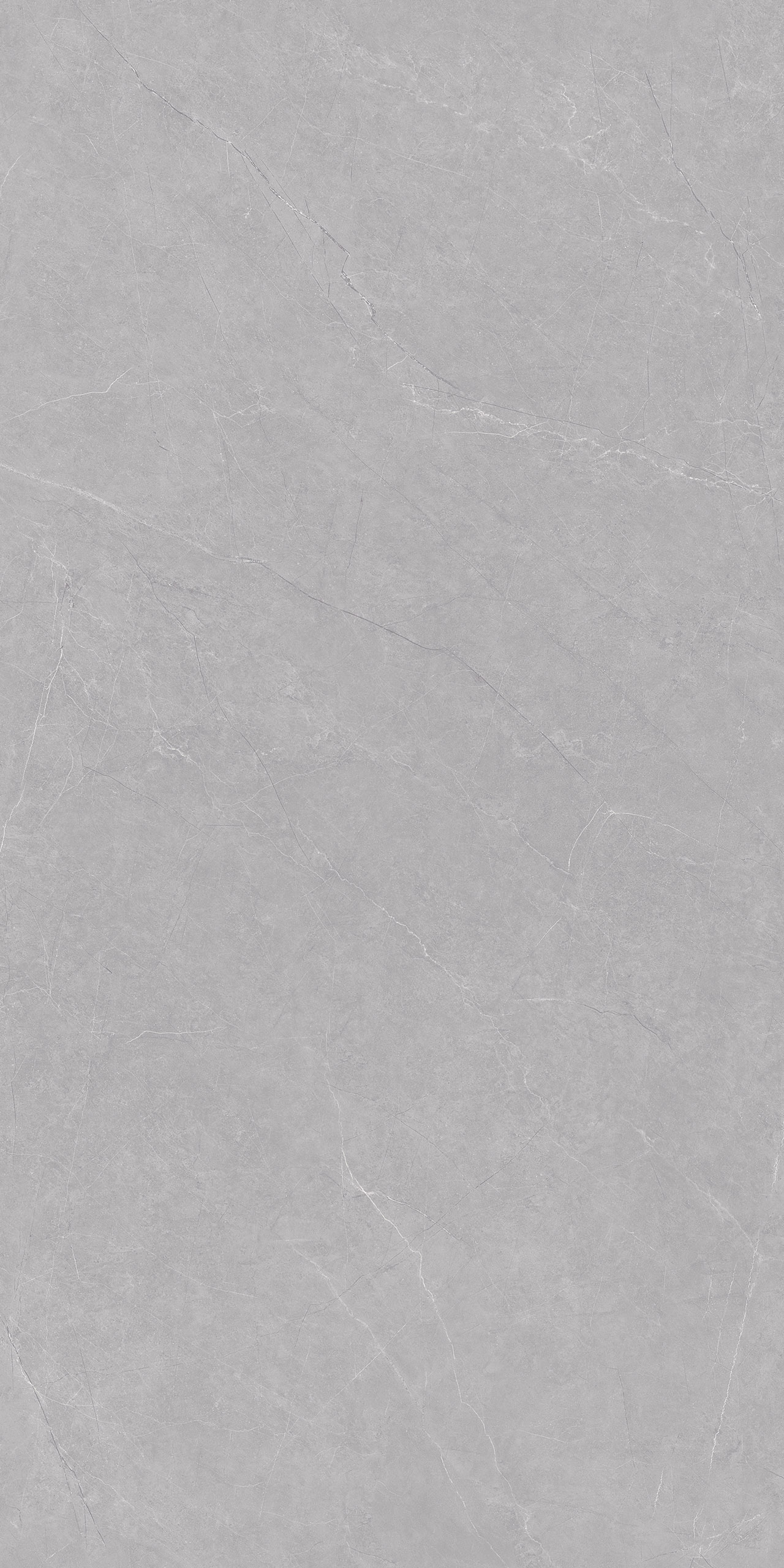 FTDB126607-W 康諾利中灰