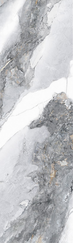 FYB802650-G 冰河世紀