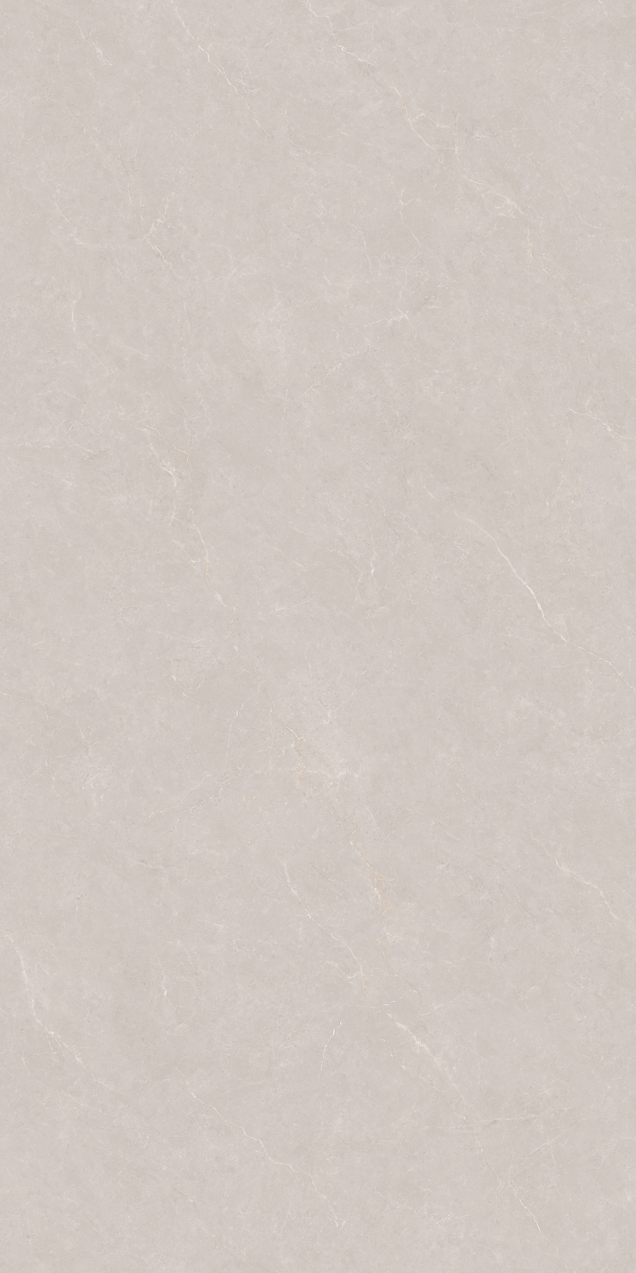 FTDB126605-W 京都灰