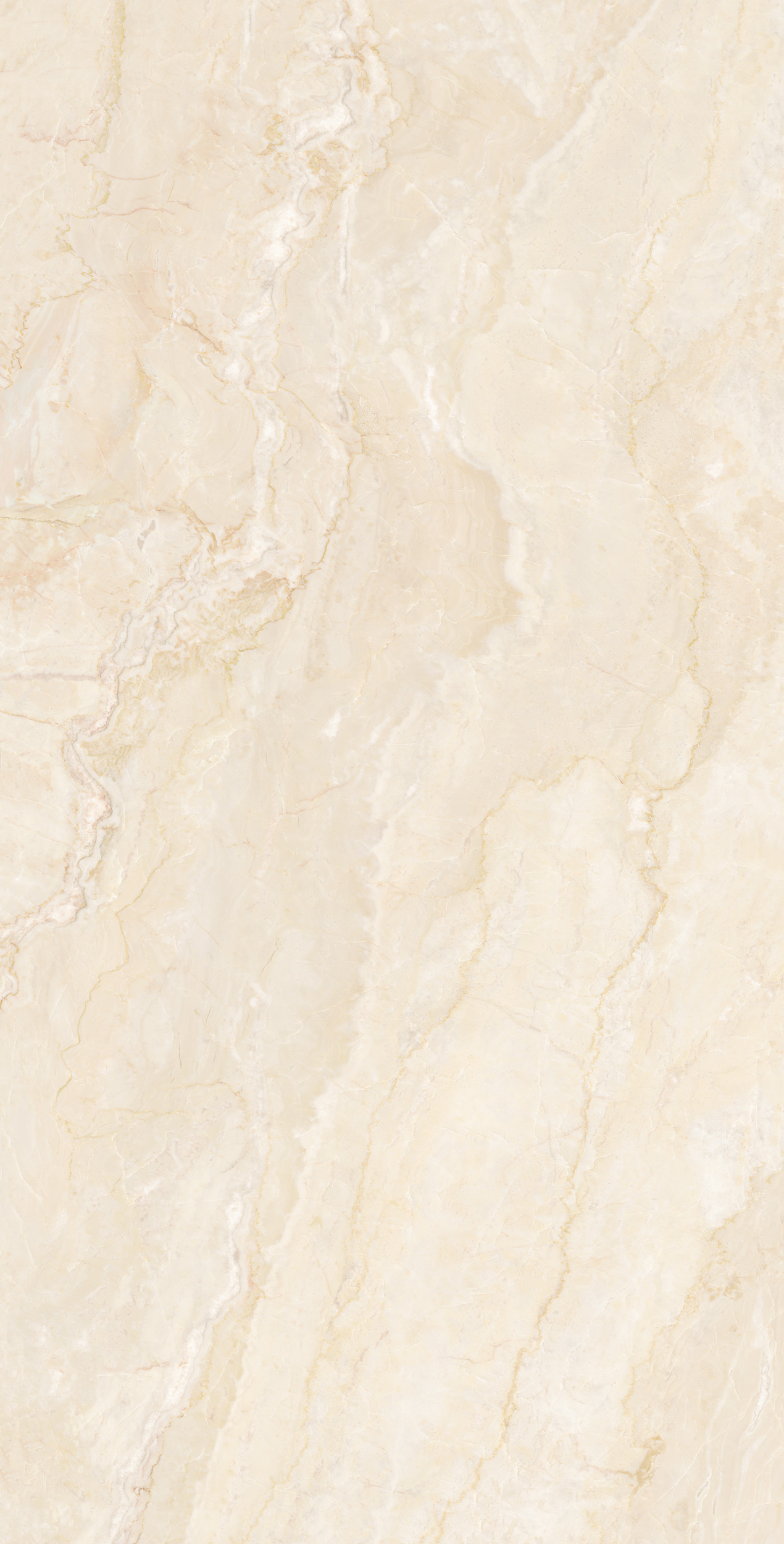 FTZB189206-普利達斯