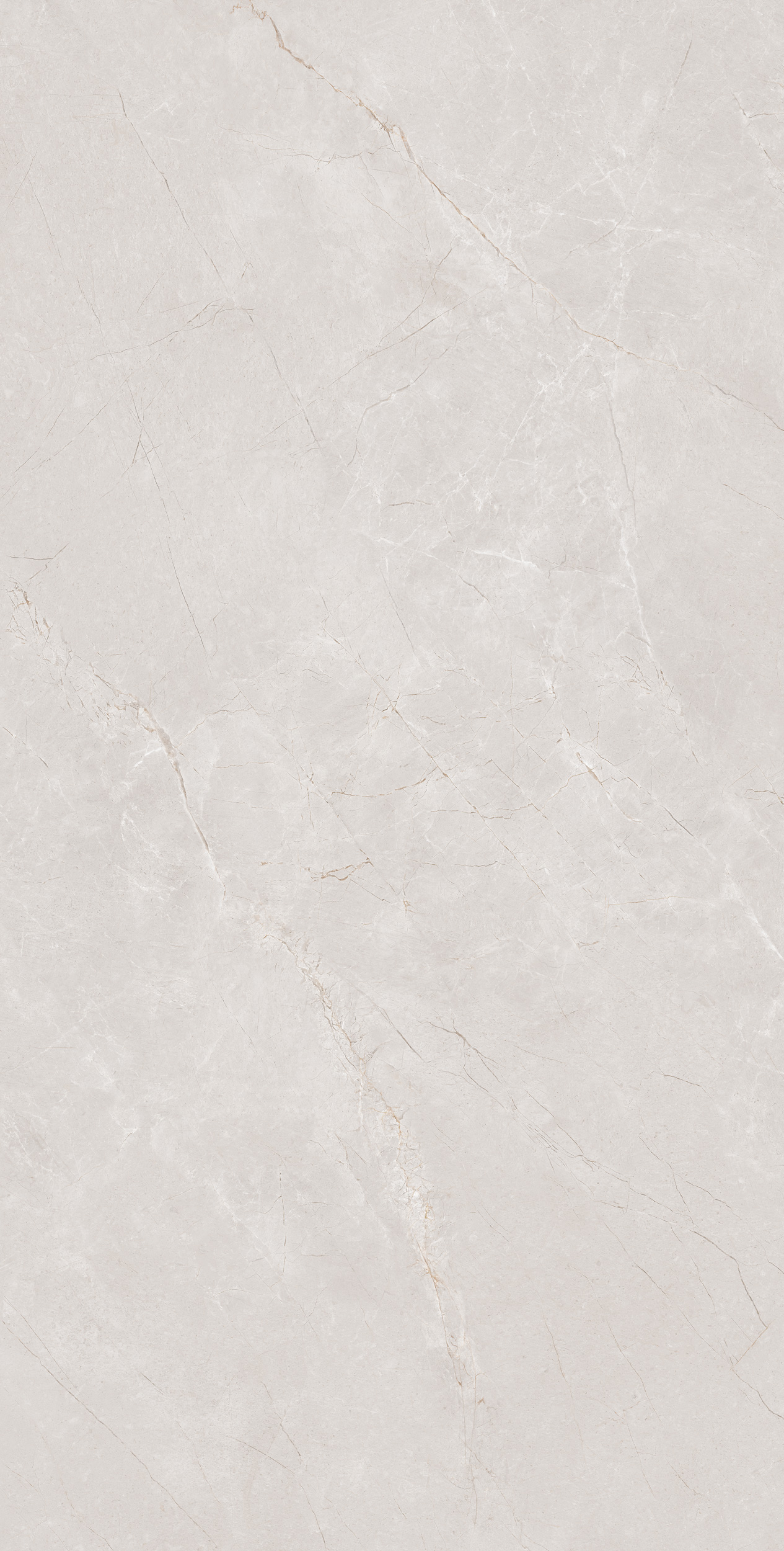 FTZB189202-卡達斯灰