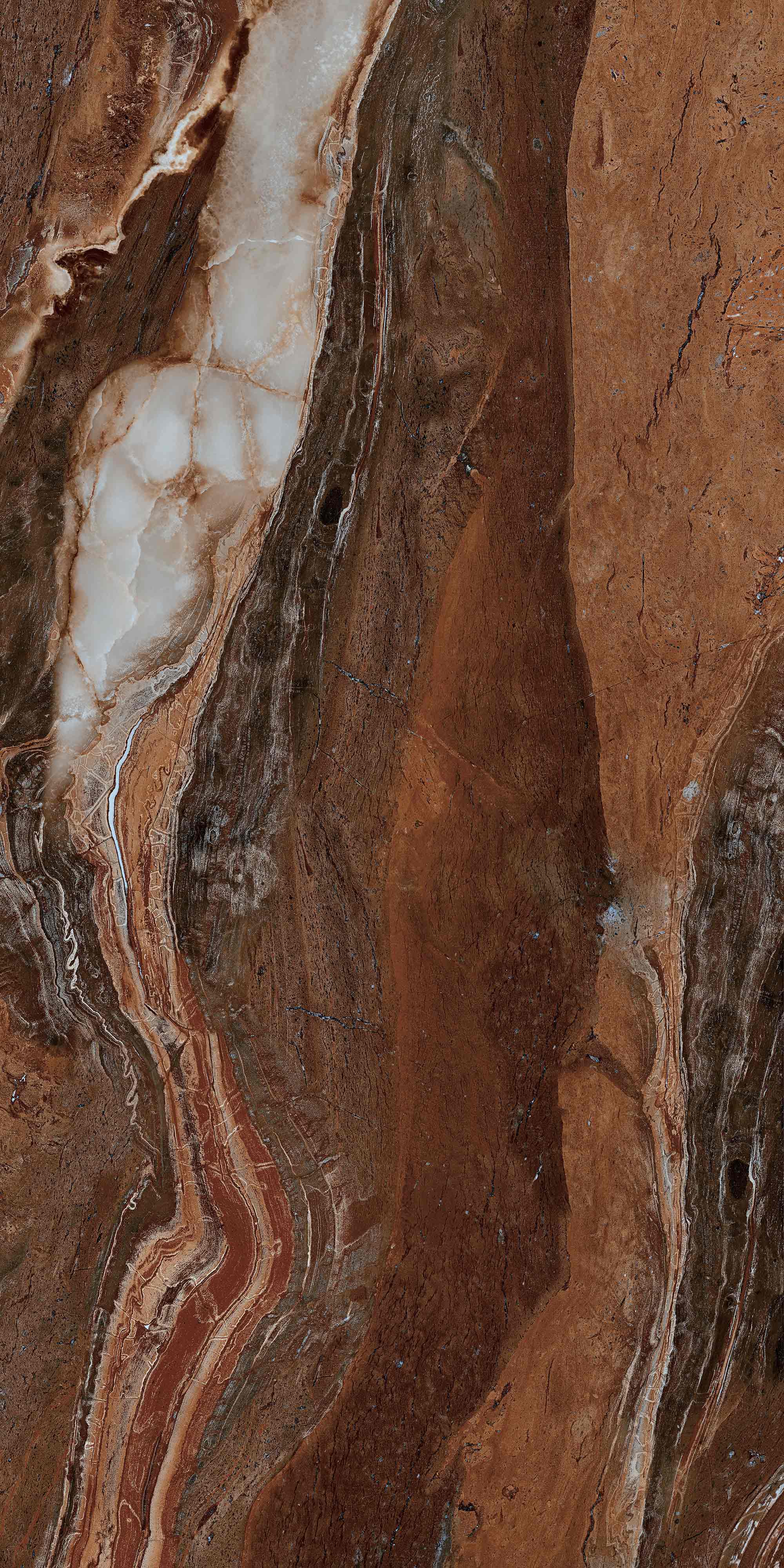 FTD189055-W 新靜雅棕