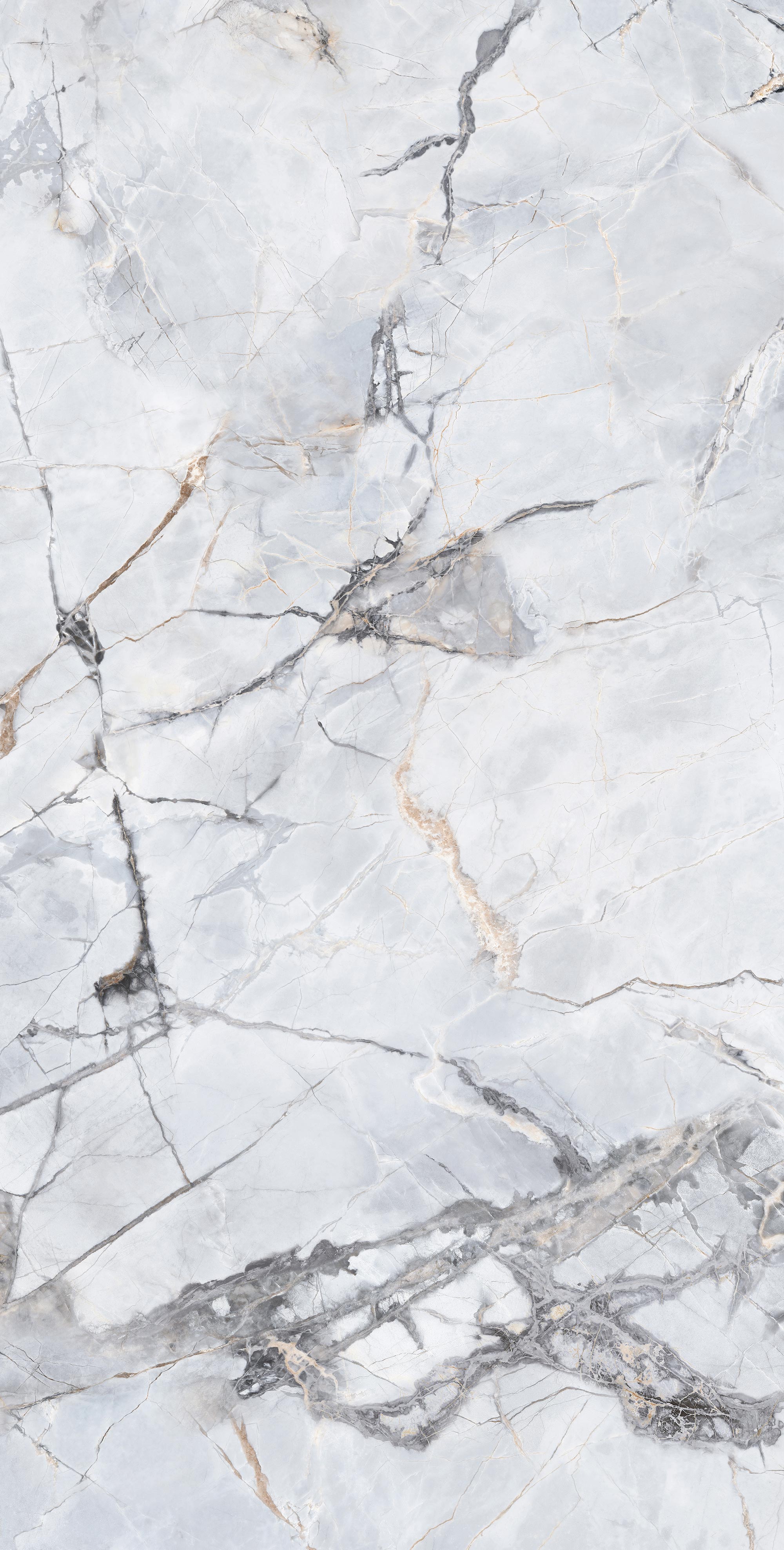 FTD189050-W 寒江雪