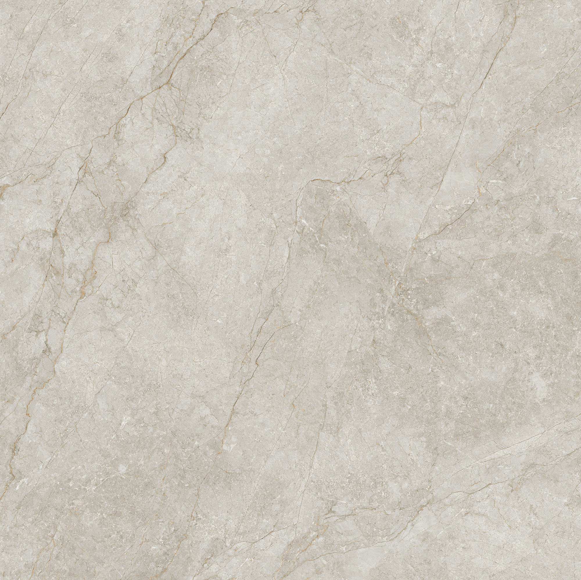 FYB121202 沙漠駱駝